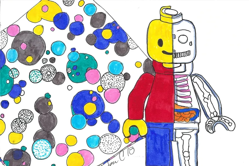 Hand drawing of Brick Man Anatomy toy and colorful folder.